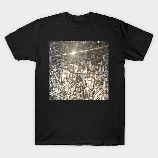 Winter Morning T-Shirt by Celtic Morrigan